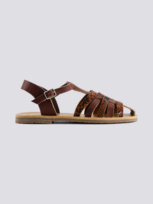 brown-python