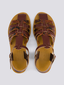 brown-python