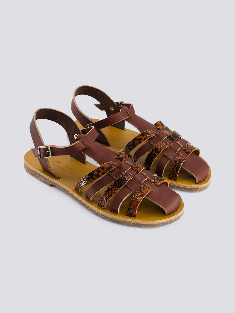 brown-python
